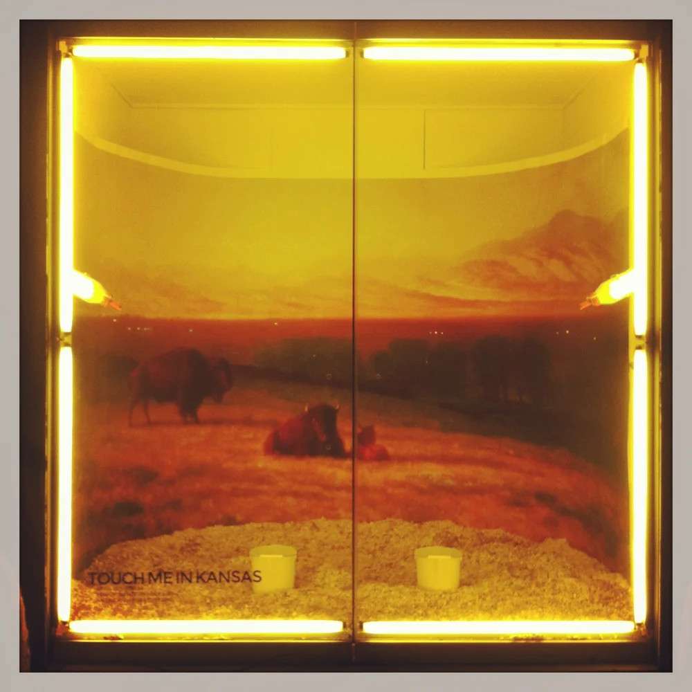 TOUCH ME IN KANSAS - American Laboratory