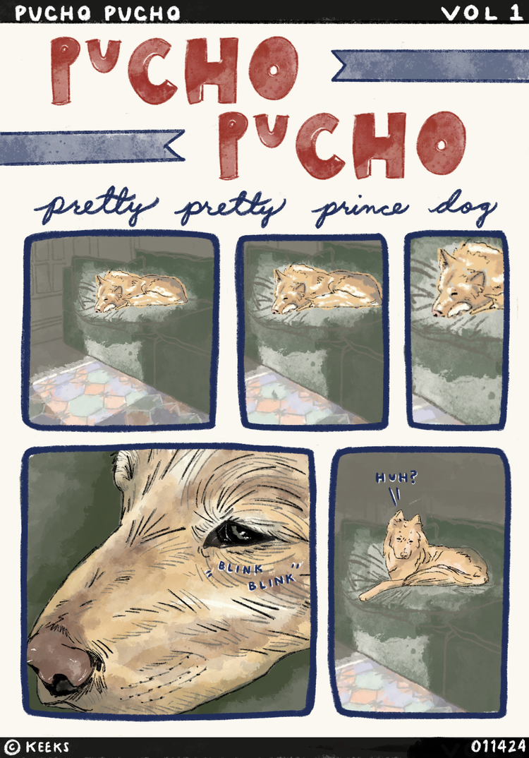 comic about nugget